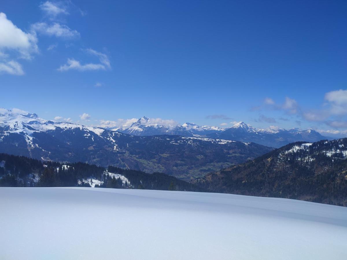 Samoens Residence Grand Tetras 4 Personnes Piscine 外观 照片